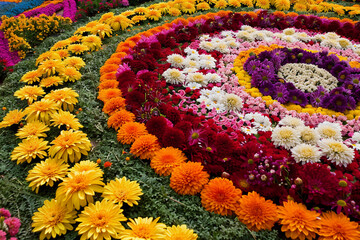 Beautiful greeting card with holiday composition for celebrate Onam