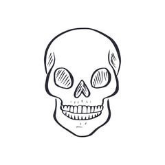 Fototapeta premium Hand drawn black and white sketchy human skull isolated on white background. Doodle skeleton head tattoo design