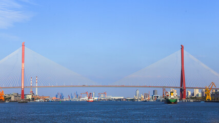 Cable-stayed bridges in the city skyline
