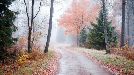 Obraz premium Serene Autumn Landscape with Art Deco Aesthetic and Misty Ambiance, Featuring Winding Path Through Vibrant Foliage and Tranquil Atmosphere in Natural Setting