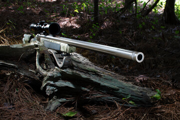 Inlline muzzleloader in the forest