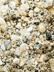 Close-up of textured pebbles and grains of sand on a beach showing natural variations in color and size during daylight