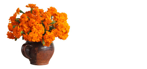 Bright orange marigolds in a rustic pottery vase placed on a white background, ideal for a vibrant...