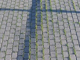 Fototapeta premium Clinker paving stones and grass inside. Top view. Close-up. Background. Texture.
