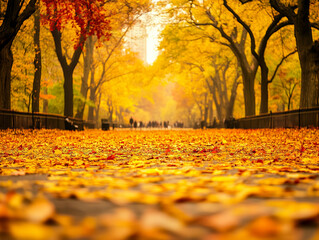 autumn in the park