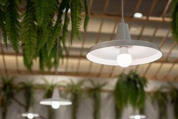 A white light fixture with a bulb is hanging from the ceiling.