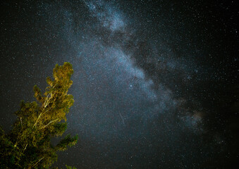 Milky Way Illuminating the Night Sky with a Tree on the Left Side of the Frame