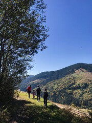 Family enjoying a scenic hike through a lush mountain landscape