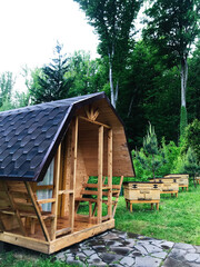 Rustic wooden cabin with nearby beehives in a lush green forest