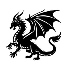 black and white dragon