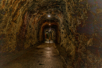 Fototapeta premium Checking out the abandoned Hollins Mill railroad tunnel at Blackwater Creek Natural Area