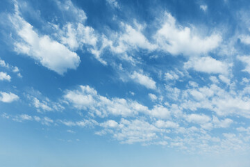Picturesque natural sky landscape with an electric blue sky dotted with fluffy cumulus clouds.