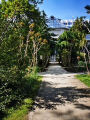 A sunny pathway through lush greenery leads to a greenhouse in an urban botanical garden during a clear day