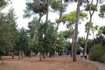 Fototapeta premium Pedestrian path in the city park.