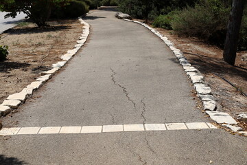 Pedestrian path in the city park.