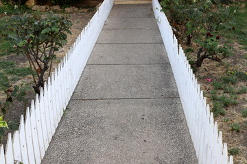 Pedestrian path in the city park.