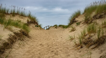 Fototapeta premium Path through the Dunes
