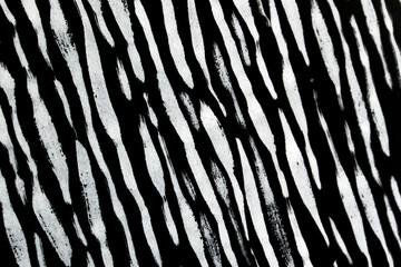 Thick Ink Pen Black Lines on White Background Zebra Skin Barcode Shapes