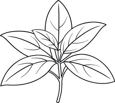 black and white plant leaves clip art preview