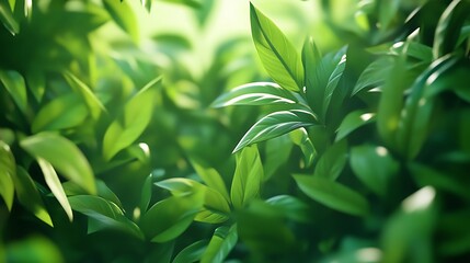 Close-up of healthy 3D green foliage surrounded by tropical leaves, perfect for nature, gardening, or eco themes