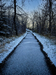 Morning snow along the pathways of the Elbow River in Calgary, Alberta
