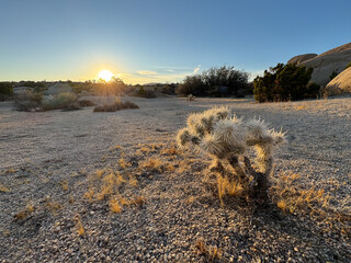 sunset in the desert