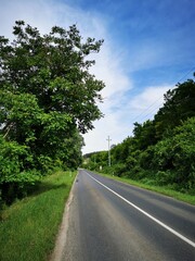 A tranquil country road surrounded by lush greenery under a clear blue sky in the early afternoon