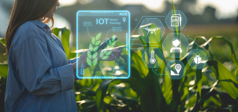 Ai for farming. iot Agriculture technology farmer woman holding tablet or tablet technology to research about agriculture problems analysis data and visual icon. 