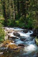 Rushing woodland stream
