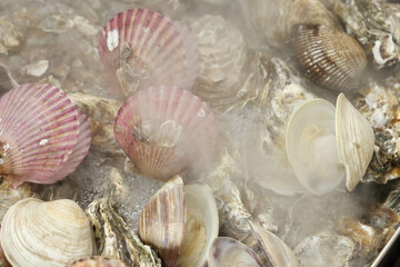 Korean Seafood Food. Steamed oysters and clams