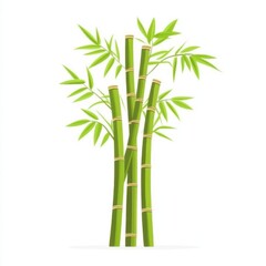 Obraz premium Cluster of vibrant green bamboo stalks.