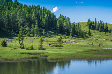 Befestigter Spazierweg für Touristen am Nassfeldpass, Passo Pramollo, Österreich, Italien