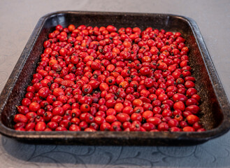 Traditional drying of red arrows is best first naturally in the air, ideally at a temperature of up to 35°C. Later dry in a dryer or in an oven at approx. 30°C.