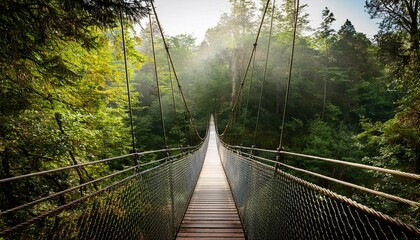 Fototapeta premium bridge in the forest