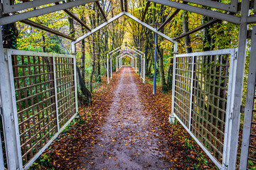 typical gazebo at a park