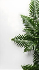 Tropical palm leaves on white background, flat lay. Space for text