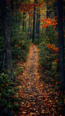 Fototapeta premium A path through an autumnal forest, covered in fallen leaves, with a soft focus and a warm glow.
