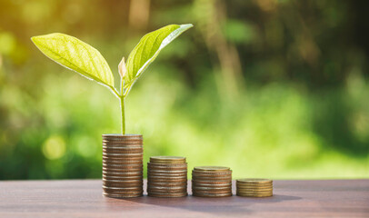 Money coins stack with green plant, Business investment growth concept, saving concept