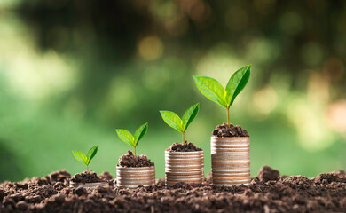 Money coins stack with green plant, Business investment growth concept, saving concept