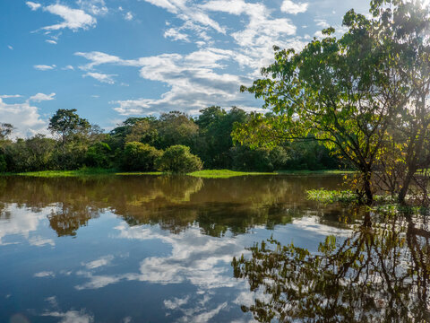 Amazon river landscape near Anama.