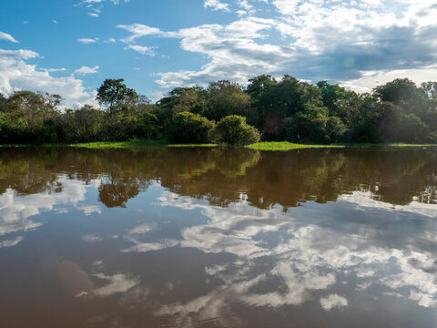 Amazon river landscape near Anama.