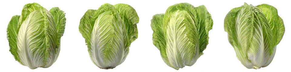 Obraz premium Chinese cabbage isolated image