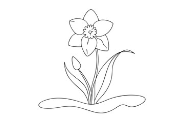 Elegant Daffodil Line Art Vector