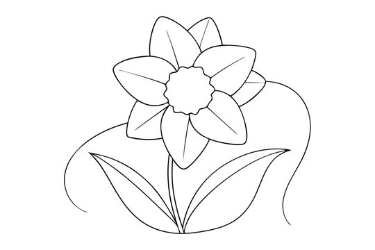 Elegant Daffodil Line Art Vector