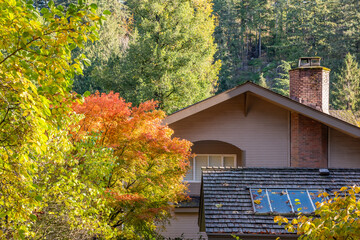 Luxury house with big tree and nice Fall foliage landscape in Vancouver, Canada, North America. Day...