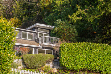 Luxury house with big tree and nice Fall foliage landscape in Vancouver, Canada, North America. Day...