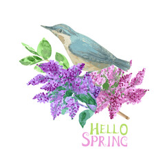 watercolor painting. little bird perching on blooming branch of lilac tree with leaves. vector card hello spring