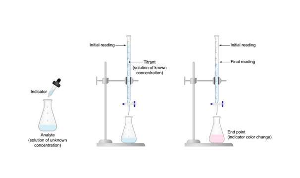 Titration procedure. Titrant in a burette and analyte in a conical flask, scientific experiment in the laboratory. Scientific vector illustration.