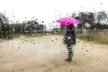 Person holding a pink umbrella protecting themselves from the rain, blurred, seen through a wet glass, with drops and condensation. Water, winter, autumn, getting wet and raining.