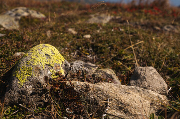 Scenic view of mountain slopes bathed in soft sunlight, covered with green vegetation and rocky textures. A peaceful natural landscape showcasing the rugged beauty of high-altitude terrain